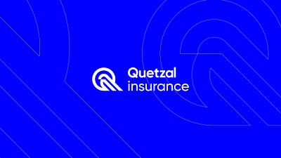 Quetzal Insurance brand brand identity brand logo design branding design graphicdesign branding art logo vector
