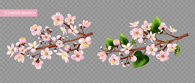 Fruit tree branch flowers fruit illustration realistic springtime vector
