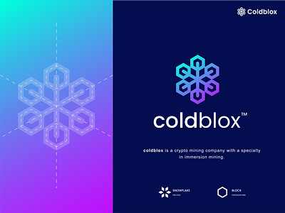 coldblox block blockchain cold crypto finance financial ice investment minimalist modern nft snow snowflake