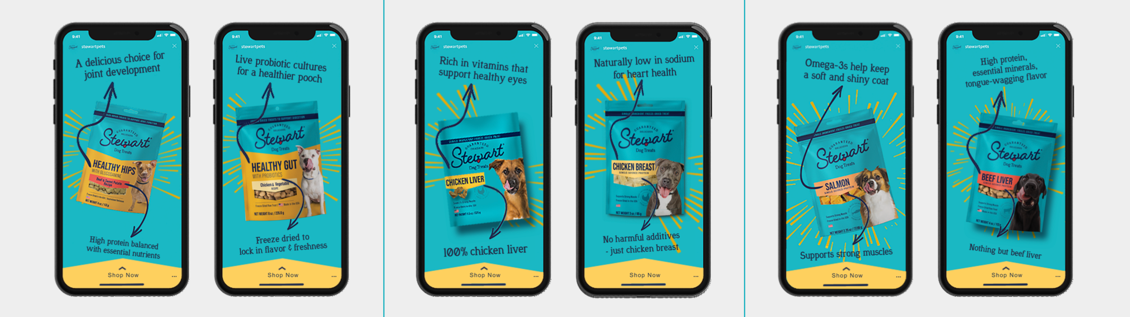 Stewart Dog Treats by Danielle Collings Art Direction & Design on