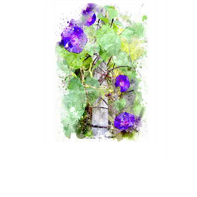 Convolvulus Post digital painting illustration photoshop