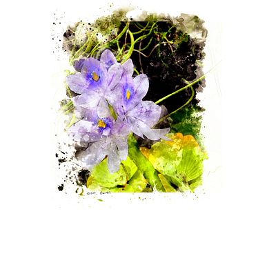 Son of Water Hyacinth digital painting illustration photoshop