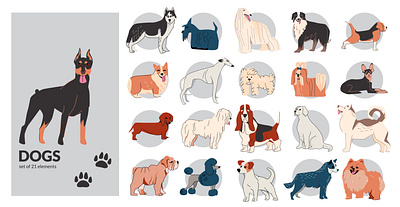 Dog drawing outline set breed dog flat friendly illustration vector