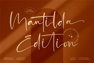 Mantilda Edition - Modern Signature Font 3d animation app branding design graphic design icon illustration logo motion graphics typography ui ux vector