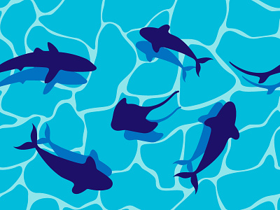 Check the waters! colorful illustrator pattern sea sharks underwater vector