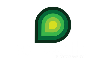 sangathi photography 3d animation branding graphic design logo motion graphics ui