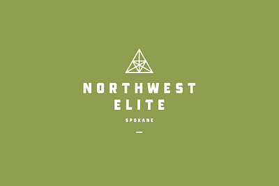 Northwest Elite branding icon logo spokane therapy typography vector washington