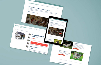Coops & Feathers branding design ecommerce rebrand ui ui design ux design web web design