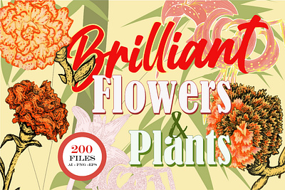 Brilliant Flowers & Plants - Set of Digital Illustrations creative market design florals flowers graphic design illustration nature plants