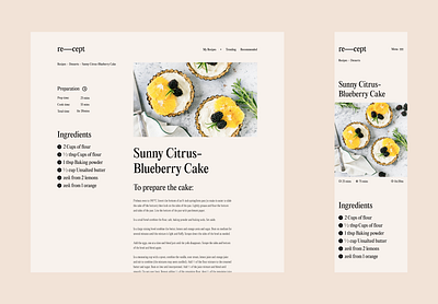 Re—Cept: Concept Recipe Guide branding minimal typography ui