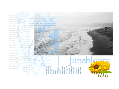 Junebloom poster sadness typography weather