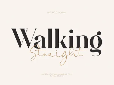 Walking Straight_Font Duo_New serif font branding novel