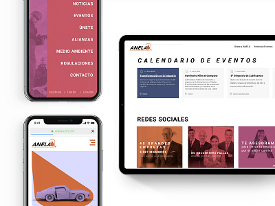 ANELA Website design responsive ui user interface ux web website