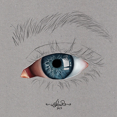 Realistic Eye - Digital Painting digital art digital painting drawing graphic design illustration instagram painting procreate realistic