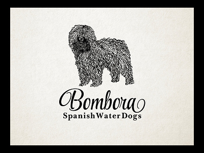 Spanish water-dog branding classic custom type design dog illustration edgy graphic design illustration illustrative logo design line art logo logo design old fashion rustic ui vector vintage design vintage illustration