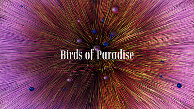 Birds of Paradise 3d art direction design styleframe typography