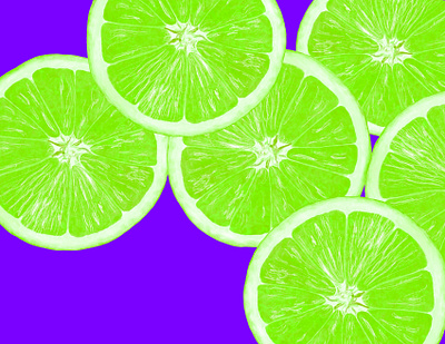 Limes - Digital digital digital illustration fourwindsgraphics fruit green illustration illustrator lime limes peggy hellem