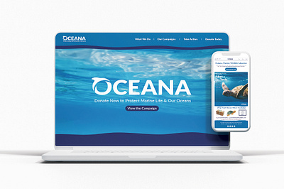 Oceana Web Campaign Redesign branding design graphic design illustration logo mockup typography