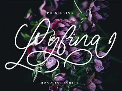 Lyfina Monoline Script floral flower font handwriting ligature monoline script spring swash typeface typography