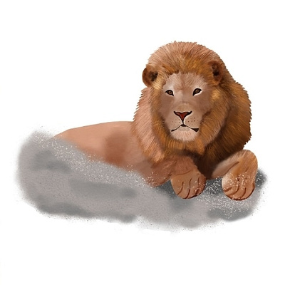 Watercolor lion art design digital illustration lion watercolor