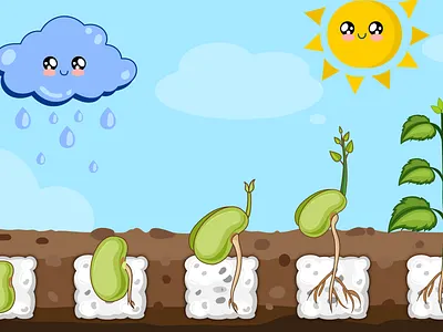 Plant growth illustration artwork cartooning children illustration concept art educational graphic design illustration plant growth vector
