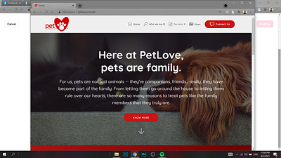 PetLove branding design website