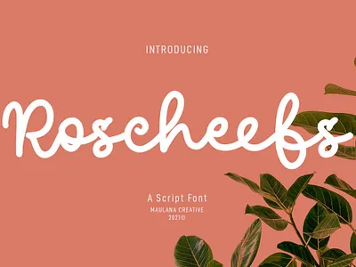 Roscheefs Script Font handwrittenfont scriptfont typeface typography