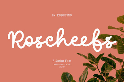 Roscheefs Script Font handwrittenfont scriptfont typeface typography