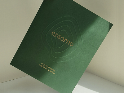 Entorno Mx abstract brand branding design illustration logo symbol system texture