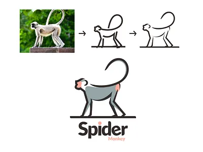 Spider Monkey brand branding design graphic illustration inspiration logo ui ux vector