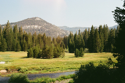 Mammoth Mountain on Film film mountains photography