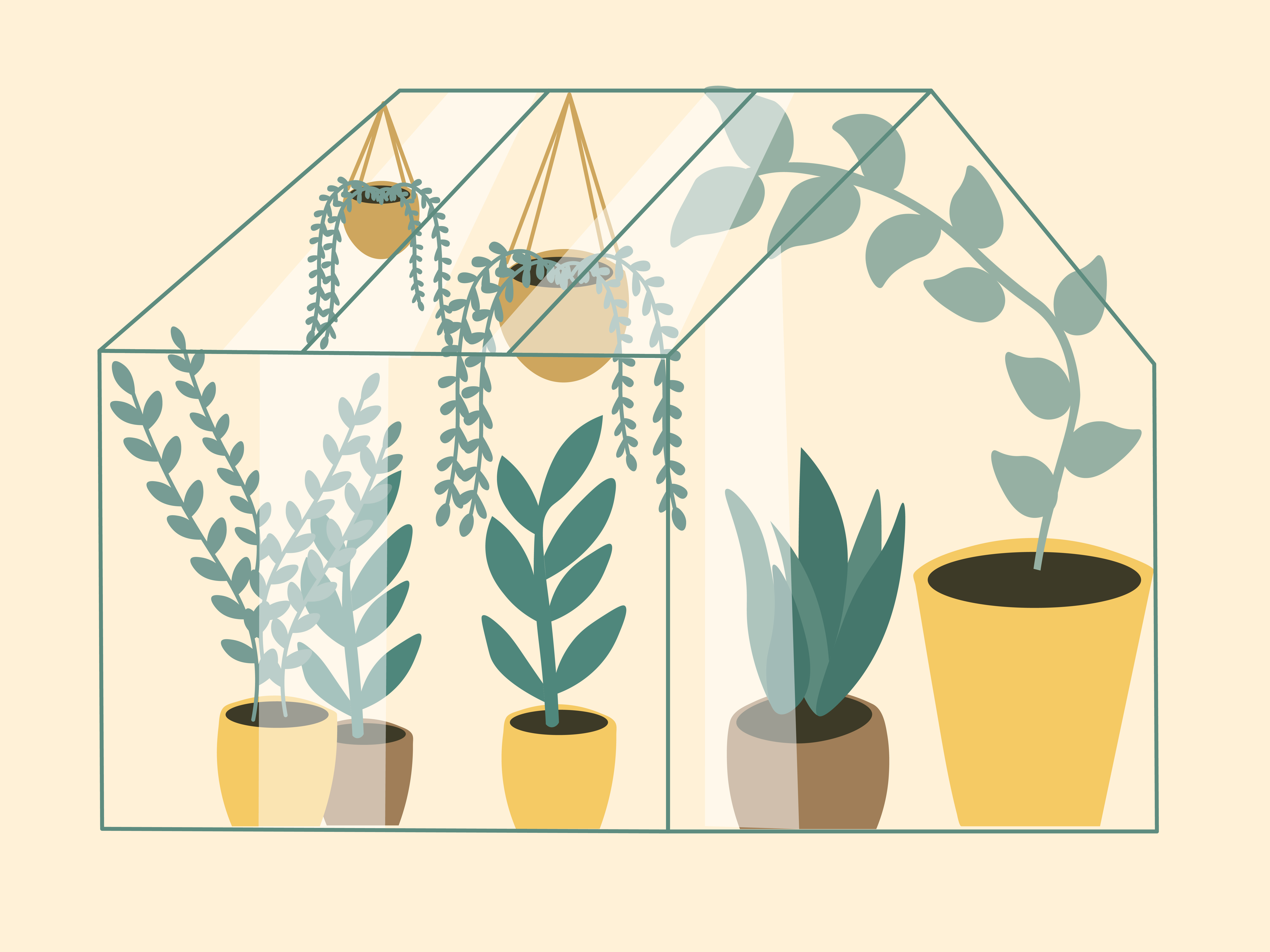 Example of Custom Procreate & Adobe Illustrations