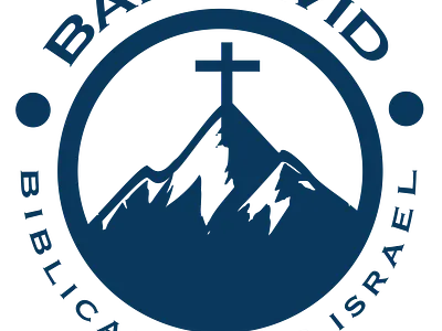 logo branding design icon illustration logo vector