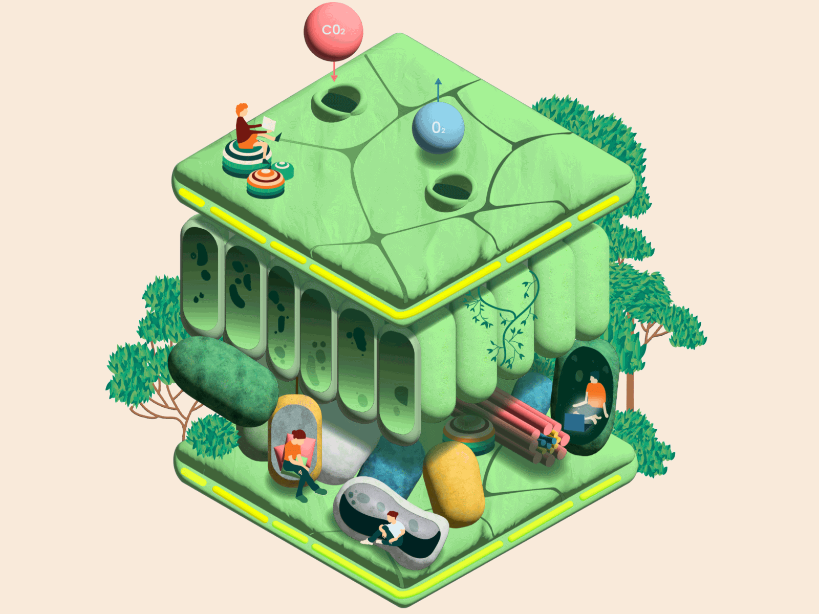 Photosynthesis / Leaf Structure 2d 3d animation biology blender botany design figures gif illustration illustrator infographics informative motion motion design motion graphics natural organic plants sketching