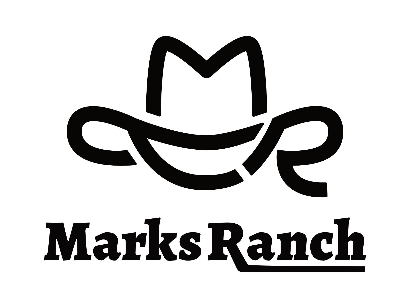 Proposed Logo Concept branding design graphic design logo typography vector