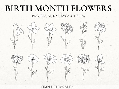 Simple Stem Birth Flower Clip Art Set birth flower tattoo birth month flower flower svg