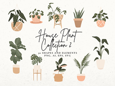 House Plant Collection #2 house plants indoor plants monstera plant clip art rubber plant