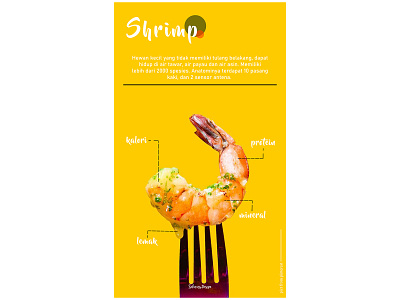 SHRIMP. branding design typography