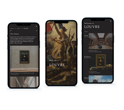 Louvre app concept design interface mobile ux visual