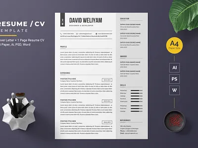 Resume/CV Template-45 cv resume