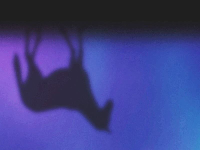 Animated Scene Test 2d after effects animation aurora borealis equine horse motion graphics reflection walk cycle