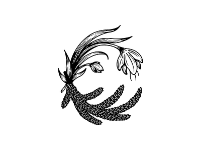 Saffron + Spruce Branding Project branding design illustration logo