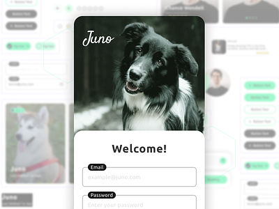 Case Study: Juno (Dog Walking App) app design graphic design product design ui ux