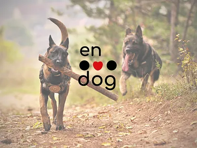 EnDog | Mobile app for dog owners adobe app branding design graphic design illustration ilustrator logo mobile app ui ux vector