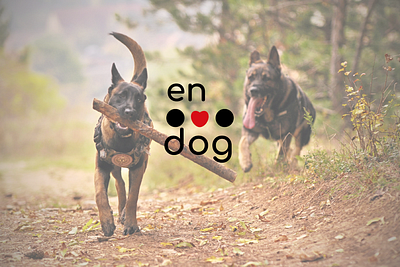 EnDog | Mobile app for dog owners adobe app branding design graphic design illustration ilustrator logo mobile app ui ux vector