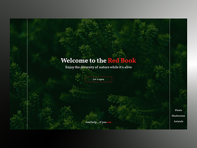 Red Book design ui ux web