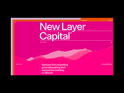 New Layer Capital animation branding capital design interaction typography ui venture website