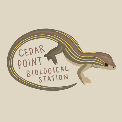 Race runner lizard sticker art digital art drawing illustration nature procreate sticker