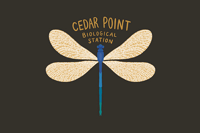 Damselfly sticker art digital art drawing illustration nature procreate sticker