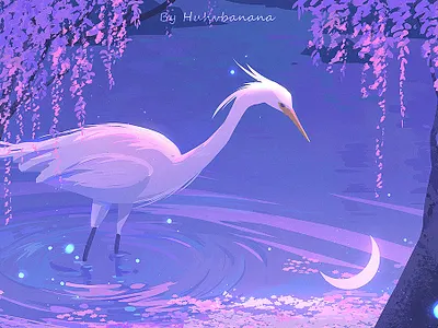 Purple bird illustration moon nature purple water 插画 水面 治愈系 紫